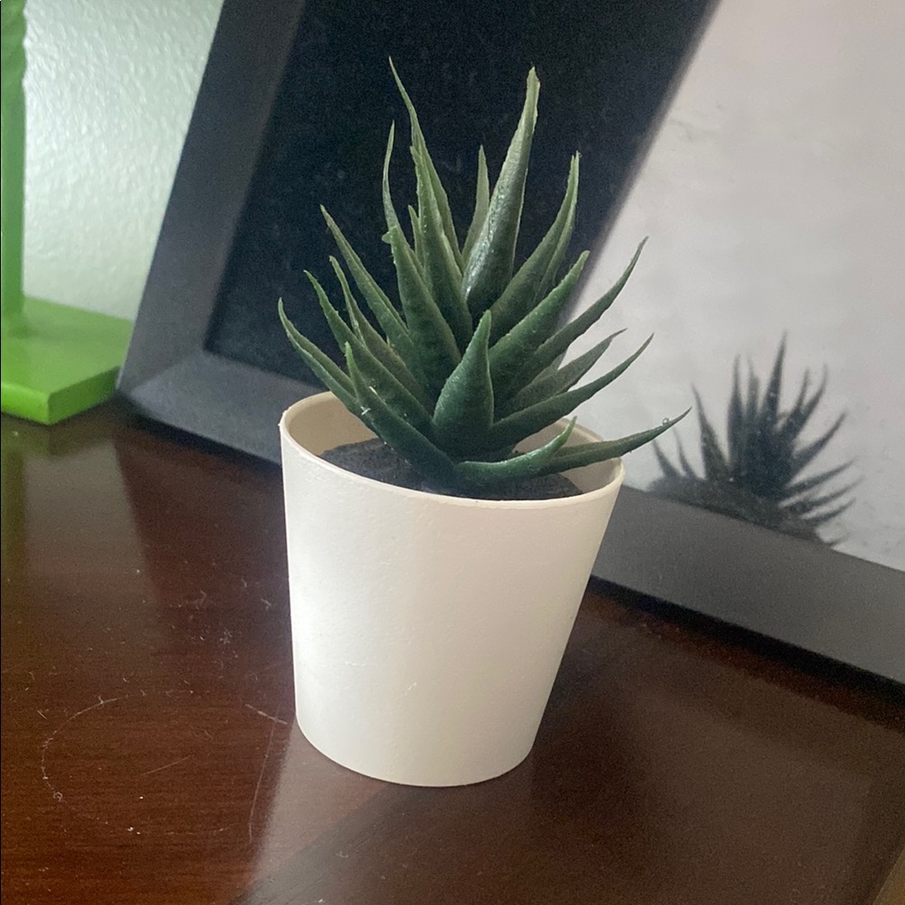 Elegant Green Faux Succulent in White Pot